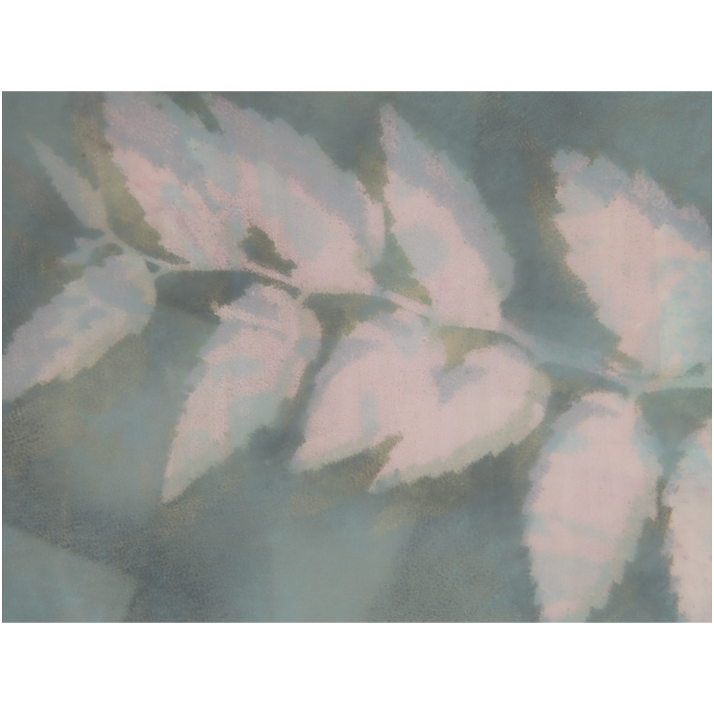 ProPrint-18x24-SemiGloss-20250718155323407