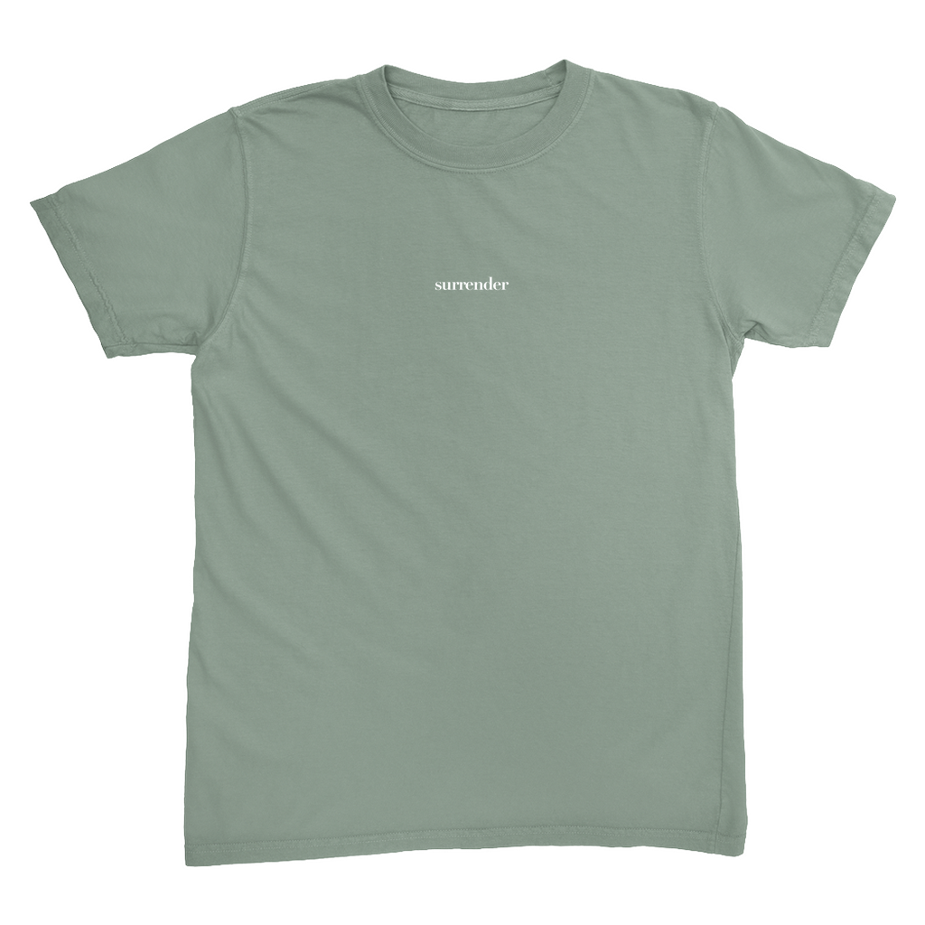 Apparel-DTG-Tshirt-CC-1717-3XL-Bay-Unisex-CFCB-20250811135249487