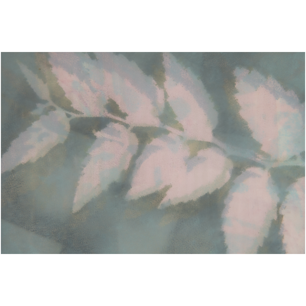 ProPrint-24x36-SemiGloss-20250718155323407