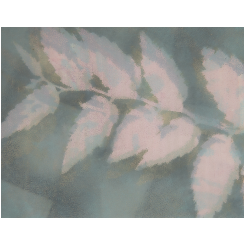 generated-preview-2